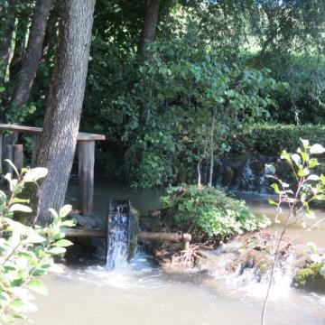 Mlinarjeva pot 14.09.2013 57